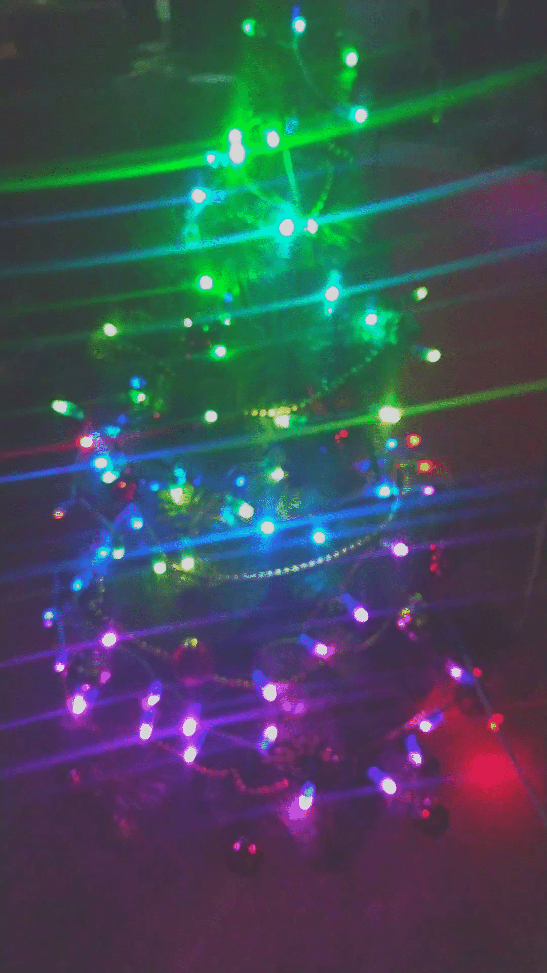 elka_lights