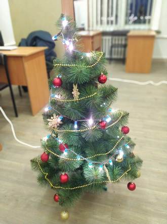 pine