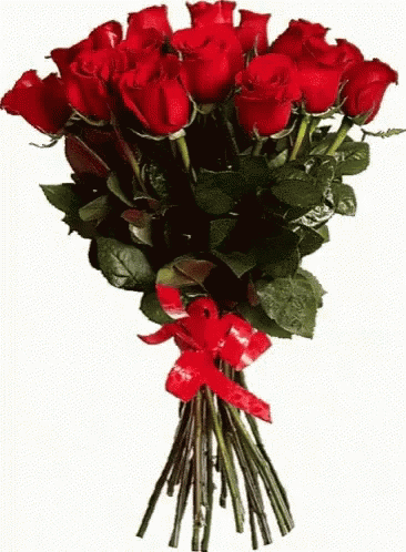 roses_gif